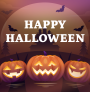 wordpress halloween deals